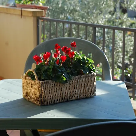 Graziosa Toscana Con Giardino * Casale Marittimo